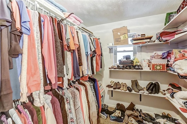 view of walk in closet