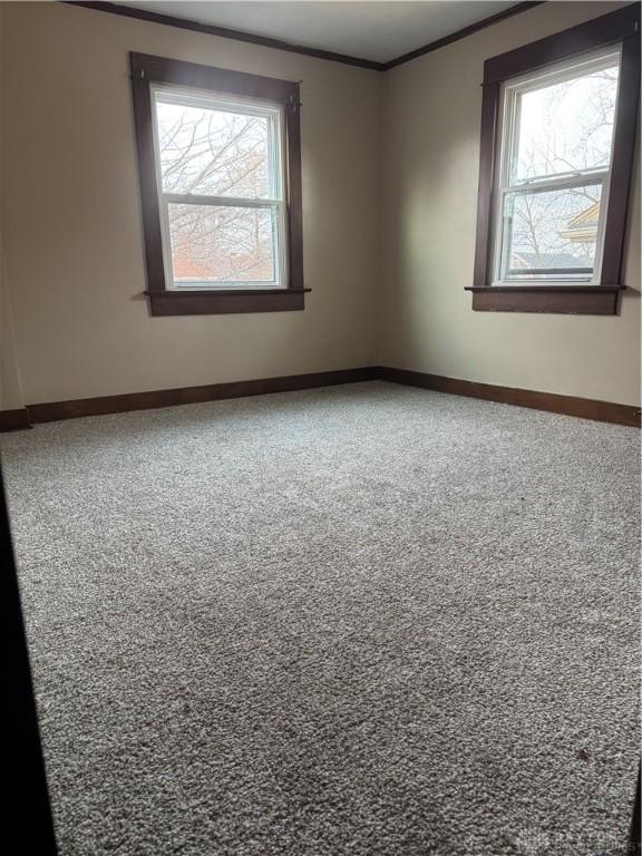 carpeted empty room with crown molding