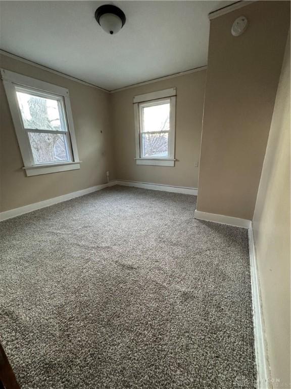 empty room with crown molding and carpet floors