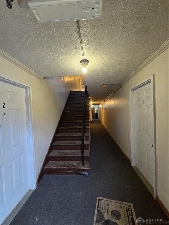 stairway featuring crown molding, carpet floors, and a textured ceiling