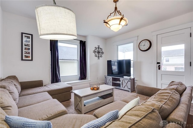 carpeted living room featuring a wealth of natural light