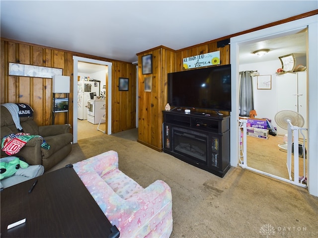 carpeted living room featuring wooden walls