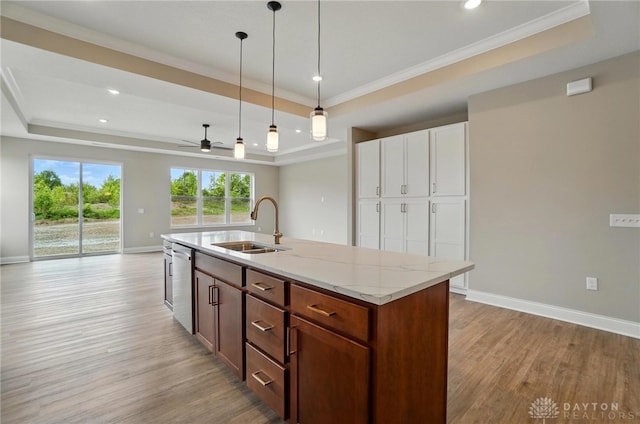 1507 Kingsgate, Springfield, OH 45502 - kitchen with a tray ceiling, a sink, light wood-style floors, stainless steel dishwasher, and a ceiling fan