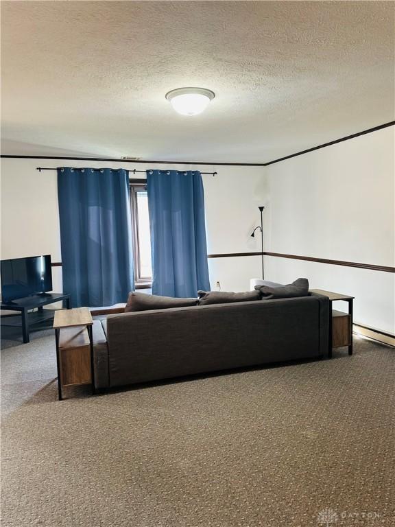 living room featuring a textured ceiling