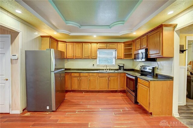 kitchen with sink, a tray ceiling, stainless steel appliances, and hardwood / wood-style floors