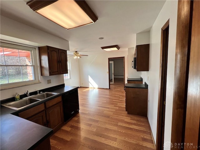 kitchen with sink, ceiling fan, hardwood / wood-style floors, dark brown cabinets, and black dishwasher