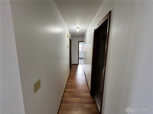 hallway featuring wood-type flooring