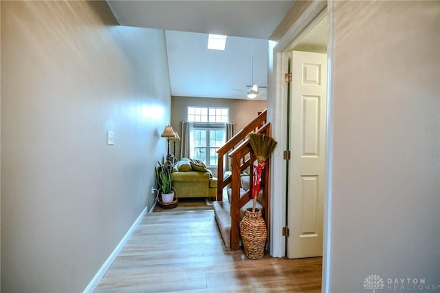 stairway featuring ceiling fan and hardwood / wood-style floors