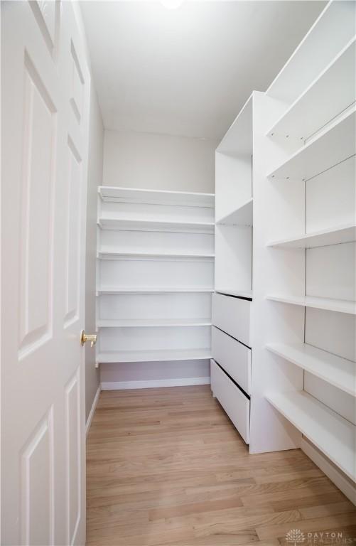 spacious closet with light wood-type flooring