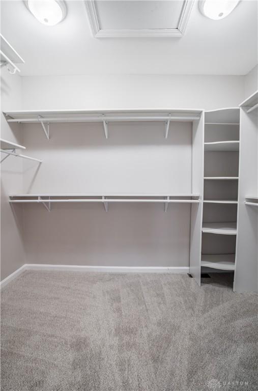 spacious closet with carpet flooring