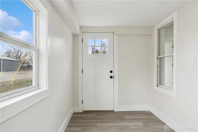 entrance foyer featuring a wealth of natural light and light wood-type flooring