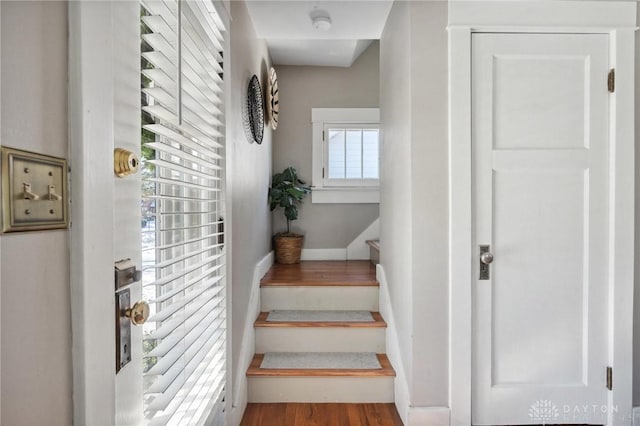 staircase featuring hardwood / wood-style flooring