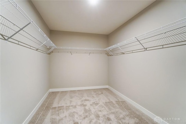 spacious closet featuring light colored carpet