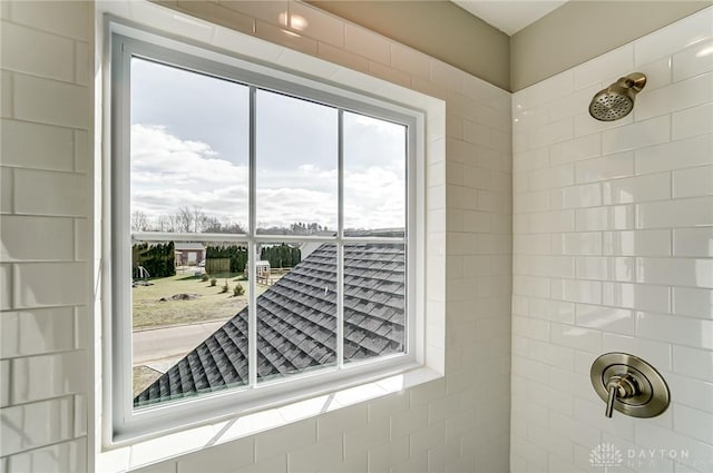 room details with tiled shower