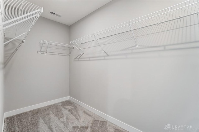 spacious closet with carpet flooring