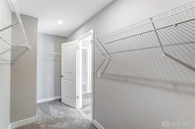 walk in closet featuring carpet flooring