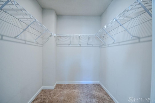 walk in closet with carpet