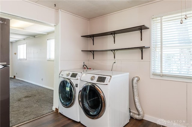 laundry room featuring dark wood-type flooring and separate washer and dryer