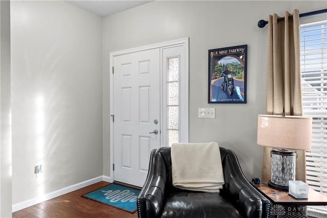 entryway with plenty of natural light and dark hardwood / wood-style floors