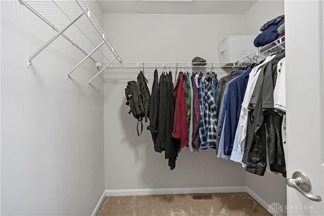 spacious closet featuring carpet floors