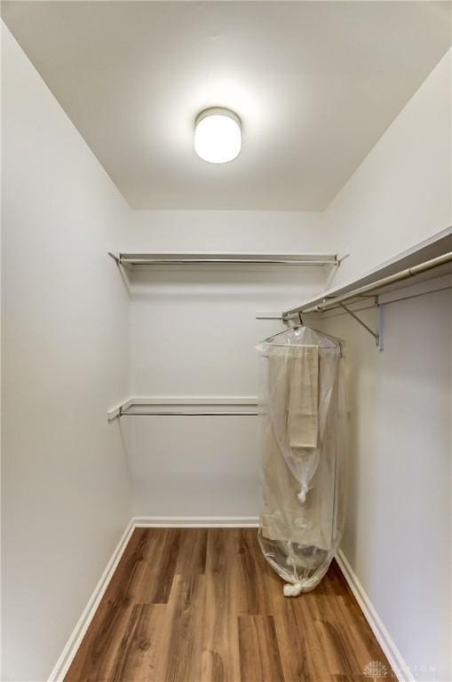 spacious closet featuring hardwood / wood-style flooring