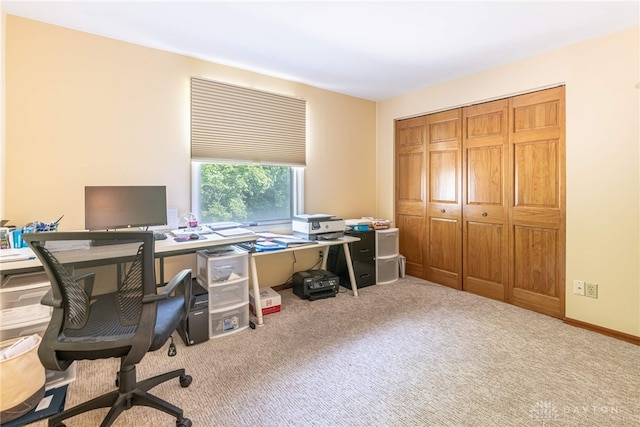 office featuring light colored carpet