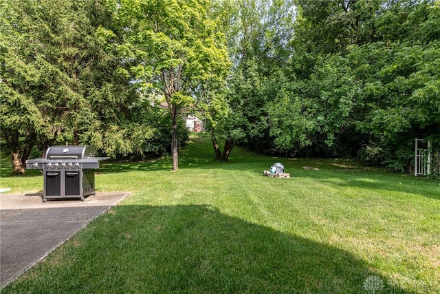 view of grassy yard