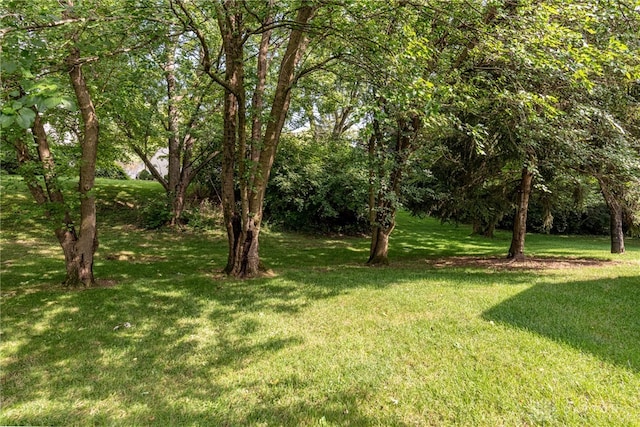 view of green lawn