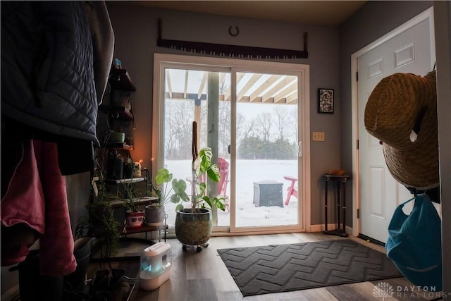 doorway to outside with a water view and wood-type flooring