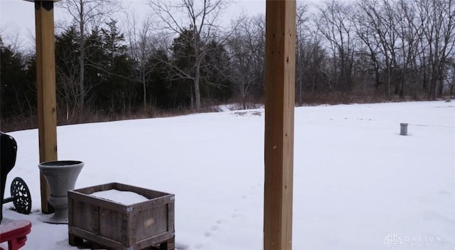 view of yard covered in snow