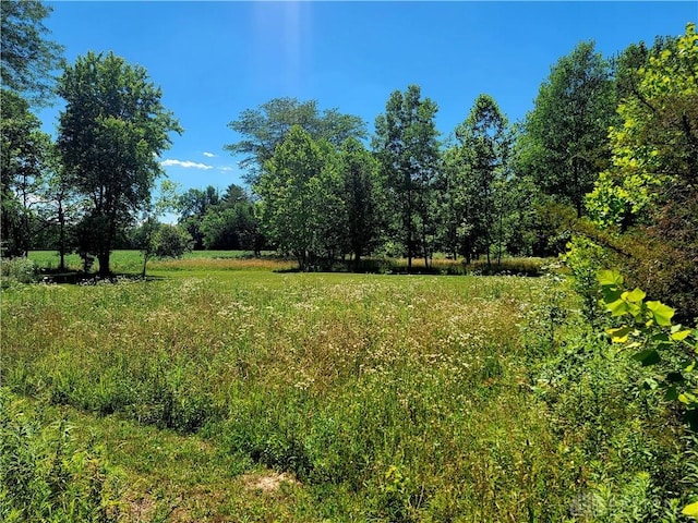 view of local wilderness featuring a rural view