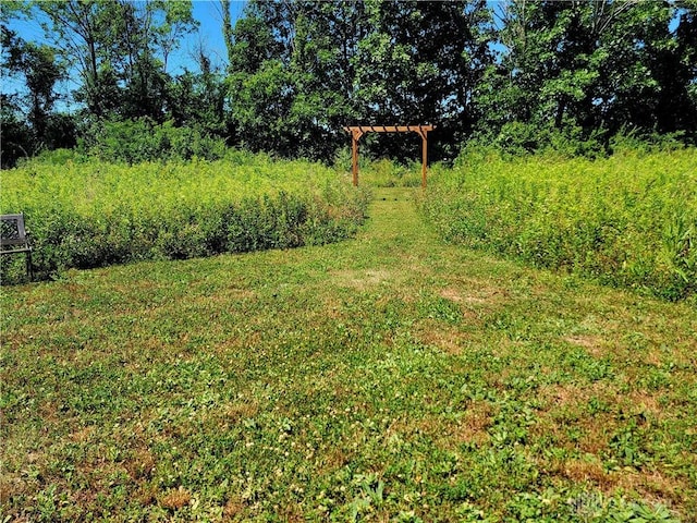 view of yard featuring a pergola