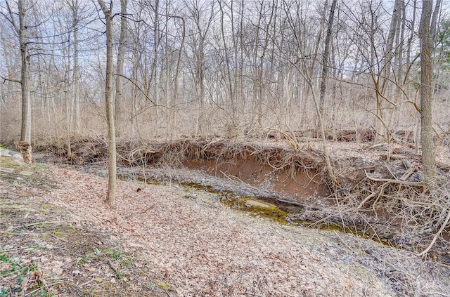 view of local wilderness