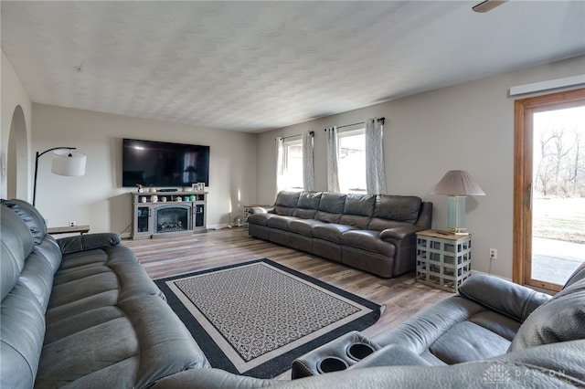 living room with a textured ceiling and light wood-type flooring