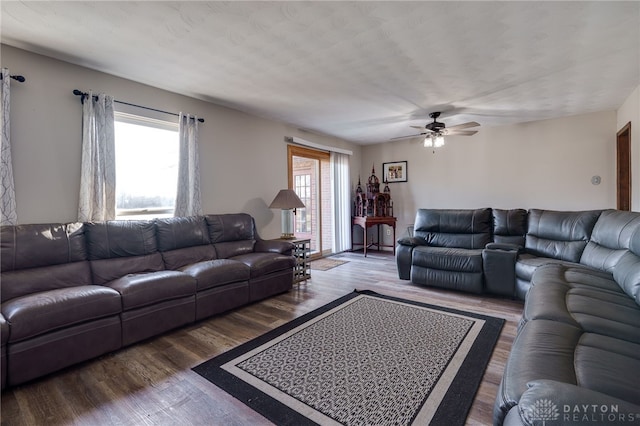 living room featuring ceiling fan, a wealth of natural light, and wood-type flooring