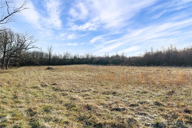 view of local wilderness with a rural view