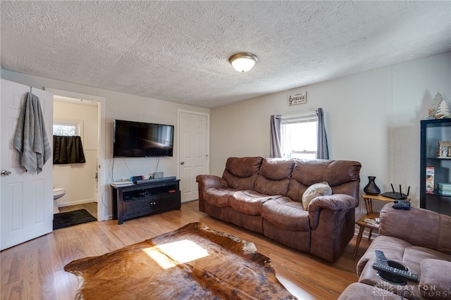 living room with a textured ceiling and light hardwood / wood-style flooring