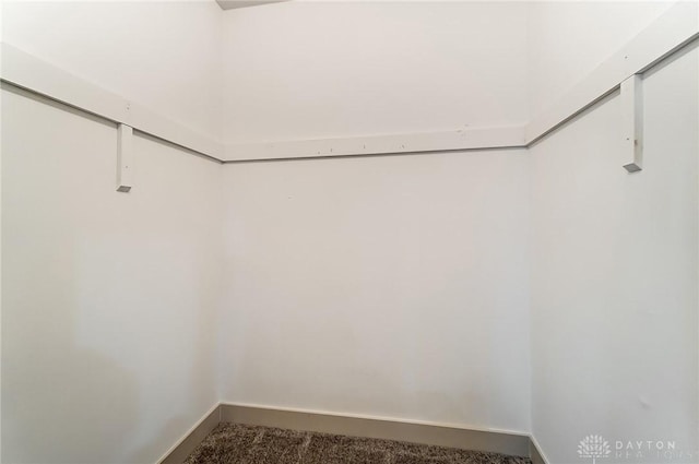 walk in closet with dark carpet