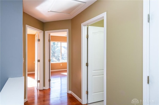 corridor featuring light hardwood / wood-style floors