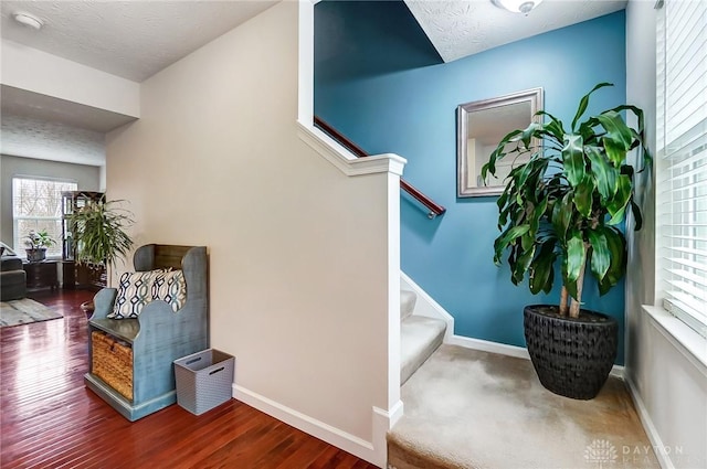 stairs with hardwood / wood-style flooring and a textured ceiling