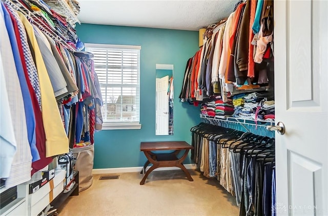 spacious closet with light colored carpet