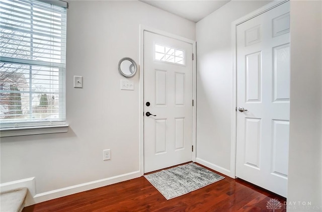 foyer with dark wood-type flooring