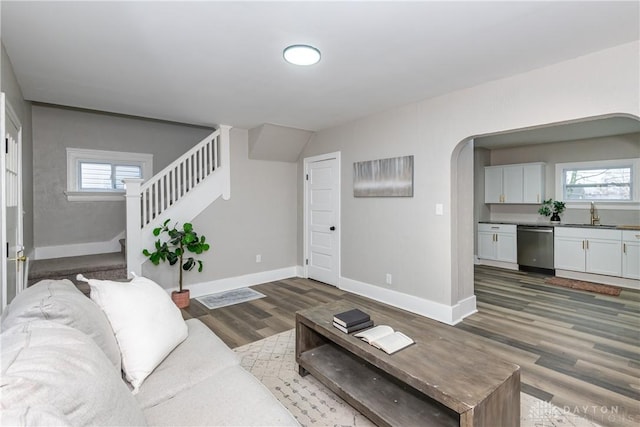 living room featuring sink and wood-type flooring