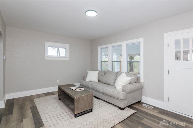 living room with wood-type flooring