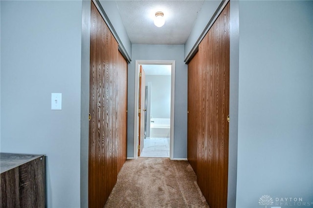 hallway featuring a barn door and light carpet