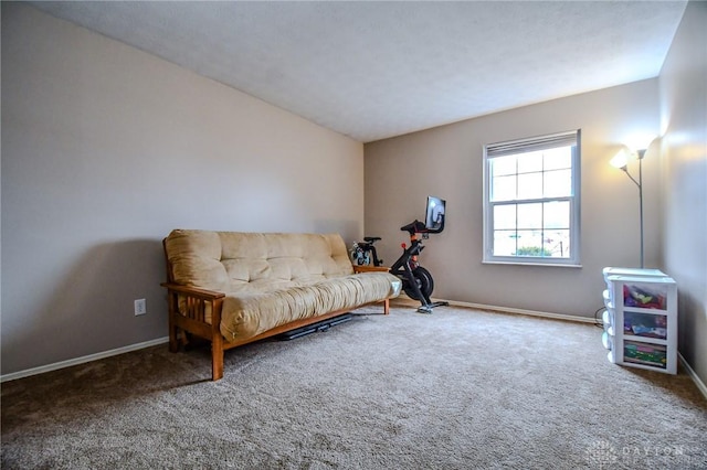 living area with carpet flooring