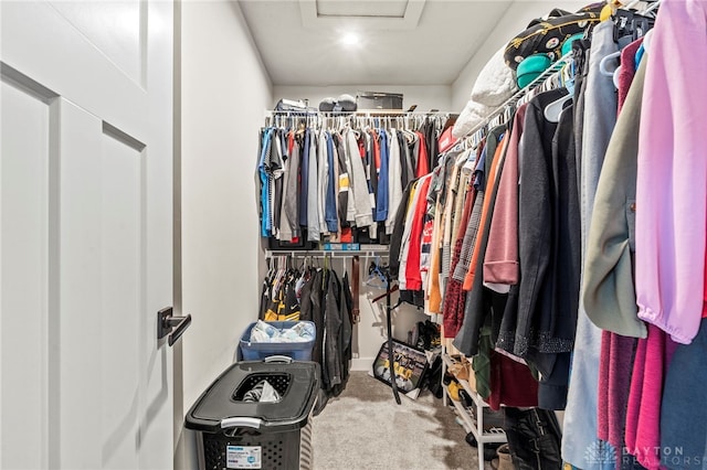 spacious closet with carpet