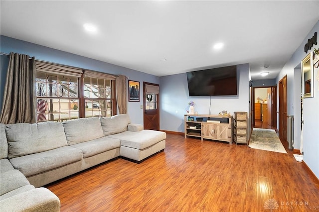 living room featuring wood-type flooring