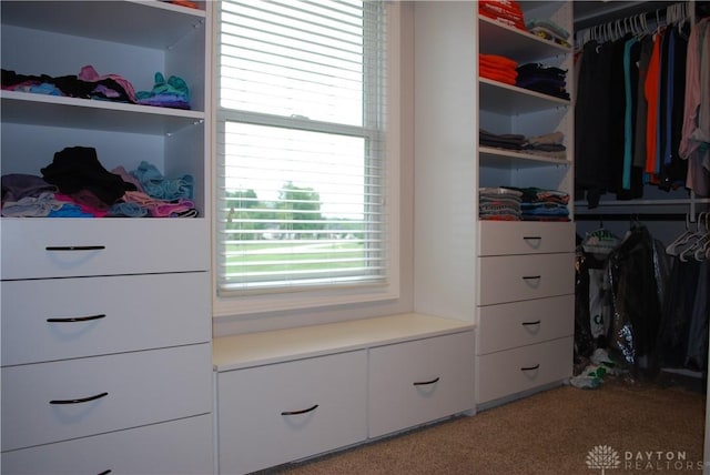 view of spacious closet