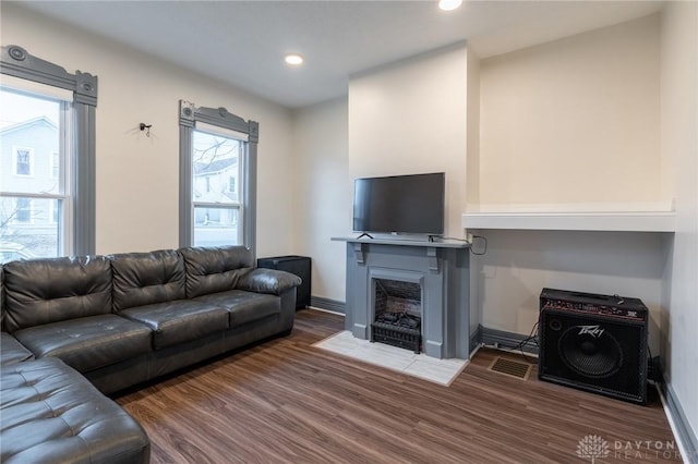 living room with wood-type flooring